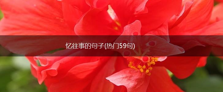 忆往事的句子(热门59句),第1张