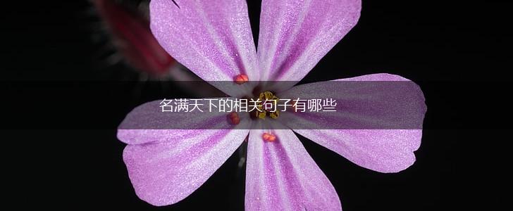 名满天下的相关句子有哪些,第1张 名满天下的相关句子有哪些,第1张