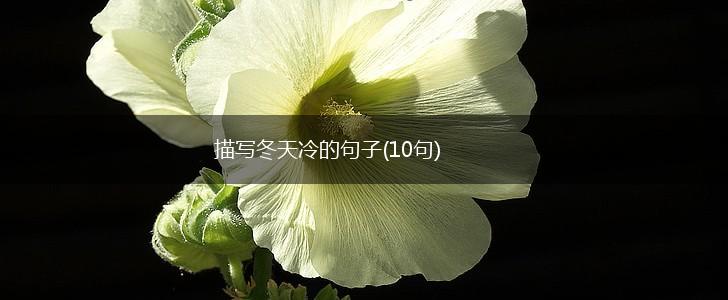 描写冬天冷的句子(10句),第1张