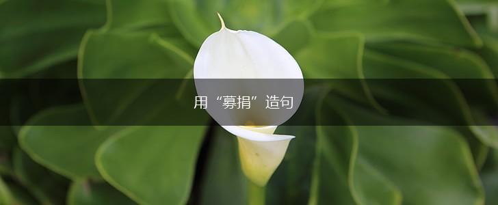用“募捐”造句,第1张 用“募捐”造句,第1张