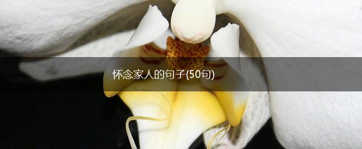 怀念家人的句子(50句),第1张