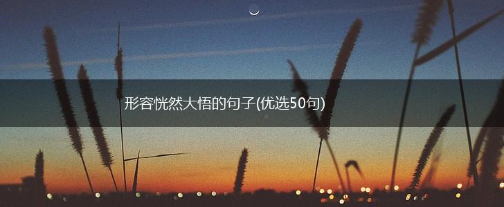 形容恍然大悟的句子(优选50句),第1张