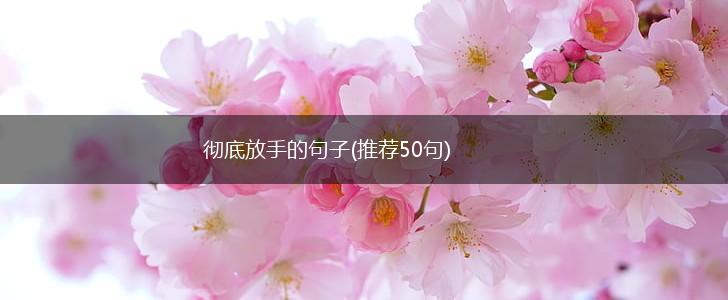 彻底放手的句子(推荐50句),第1张
