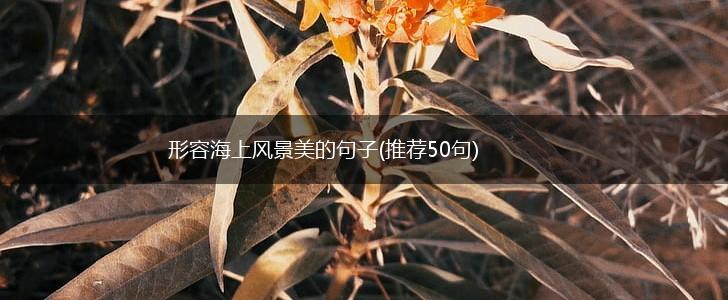 形容海上风景美的句子(推荐50句),第1张