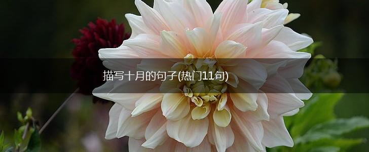 描写十月的句子(热门11句),第1张
