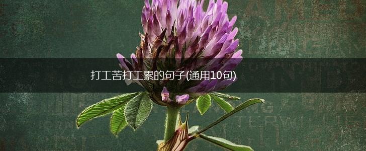 打工苦打工累的句子(通用10句),第1张