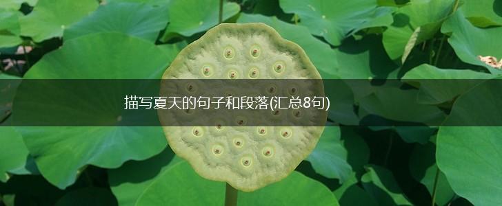 描写夏天的句子和段落(汇总8句),第1张