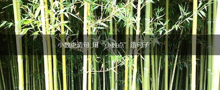 小数点造句_用“小数点”造句子,第1张 小数点造句_用“小数点”造句子,第1张