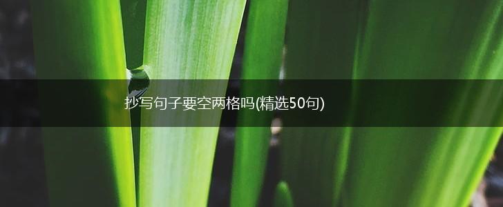 抄写句子要空两格吗(精选50句),第1张