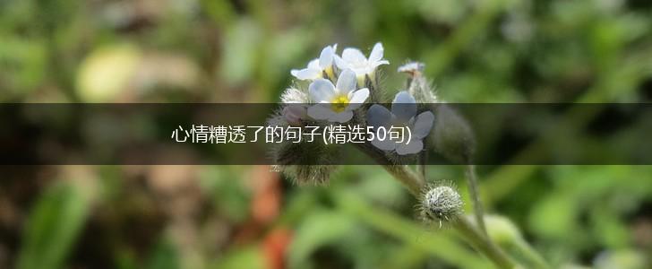 心情糟透了的句子(精选50句),第1张