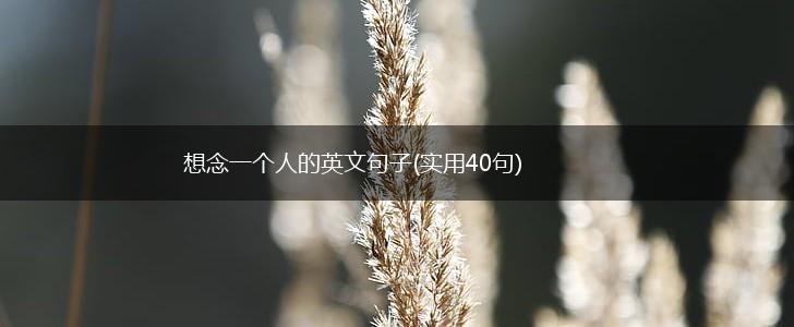 想念一个人的英文句子(实用40句),第1张