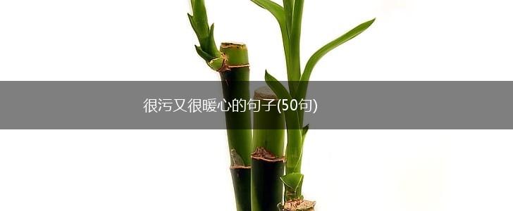 很污又很暖心的句子(50句),第1张