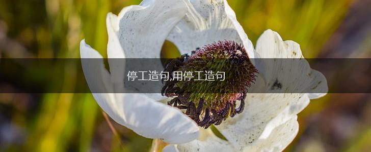 停工造句,用停工造句,第1张 停工造句,用停工造句,第1张