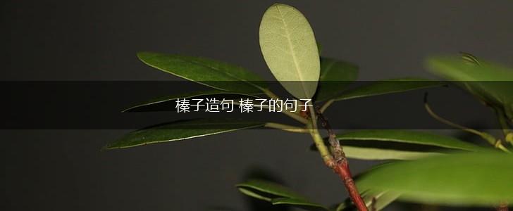 榛子造句 榛子的句子,第1张 榛子造句 榛子的句子,第1张