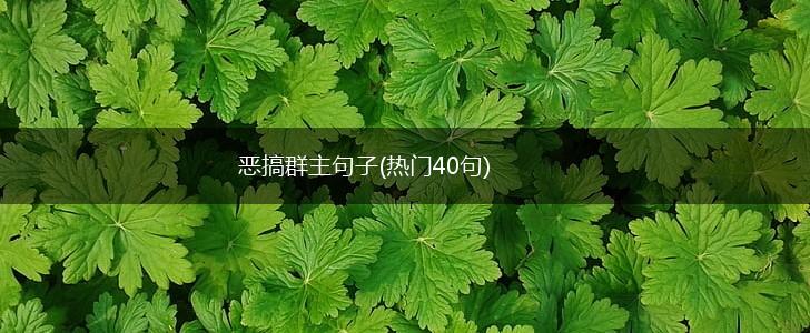 恶搞群主句子(热门40句),第1张