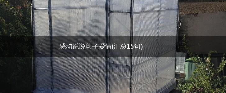 感动说说句子爱情(汇总15句),第1张
