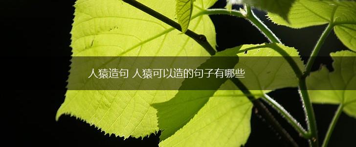人猿造句 人猿可以造的句子有哪些,第1张 人猿造句 人猿可以造的句子有哪些,第1张