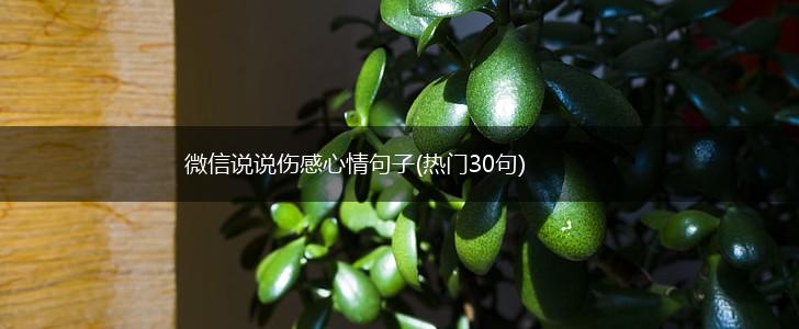 微信说说伤感心情句子(热门30句),第1张