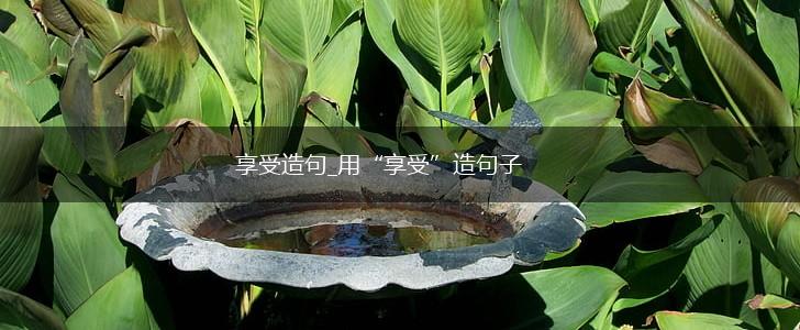 享受造句_用“享受”造句子,第1张 享受造句_用“享受”造句子,第1张