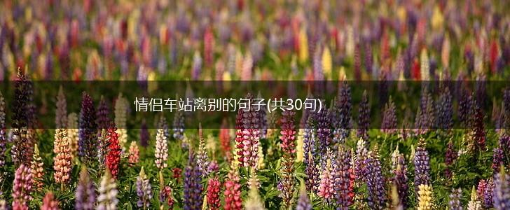 情侣车站离别的句子(共30句),第1张