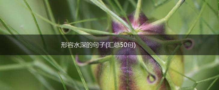 形容水深的句子(汇总50句),第1张