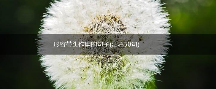 形容带头作用的句子(汇总50句),第1张