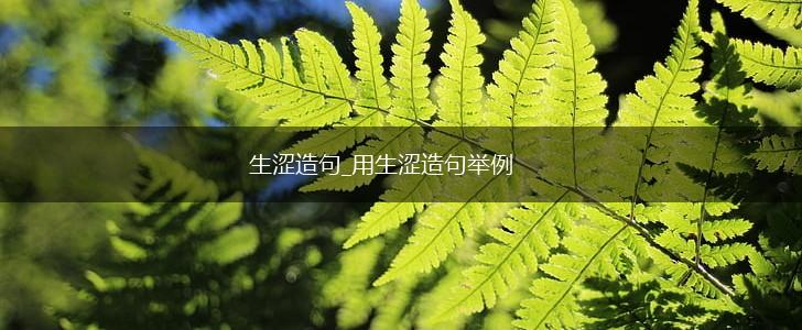 生涩造句_用生涩造句举例,第1张