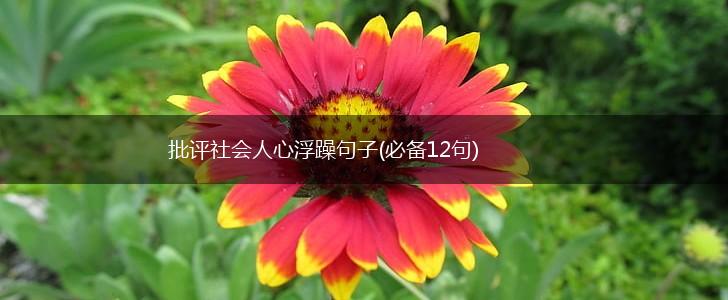 批评社会人心浮躁句子(必备12句),第1张