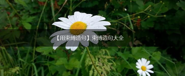 【用束缚造句】束缚造句大全,第1张 【用束缚造句】束缚造句大全,第1张