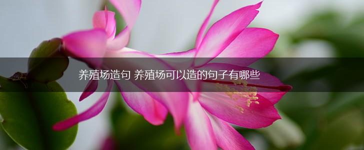 养殖场造句 养殖场可以造的句子有哪些,第1张 养殖场造句 养殖场可以造的句子有哪些,第1张