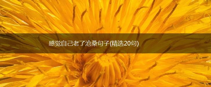 感觉自己老了沧桑句子(精选20句),第1张