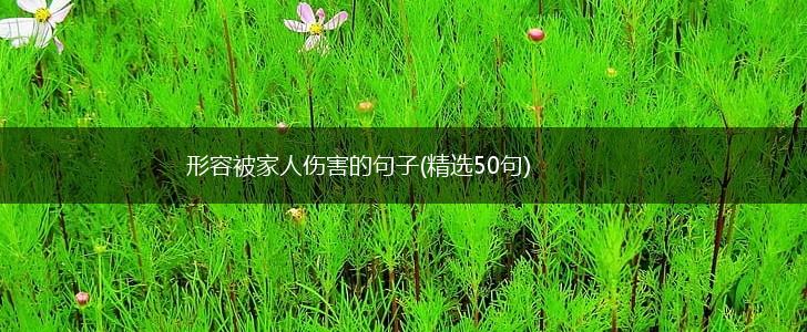 形容被家人伤害的句子(精选50句),第1张