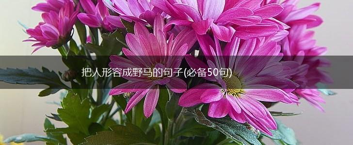把人形容成野马的句子(必备50句),第1张
