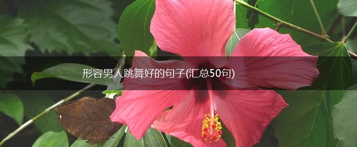 形容男人跳舞好的句子(汇总50句),第1张