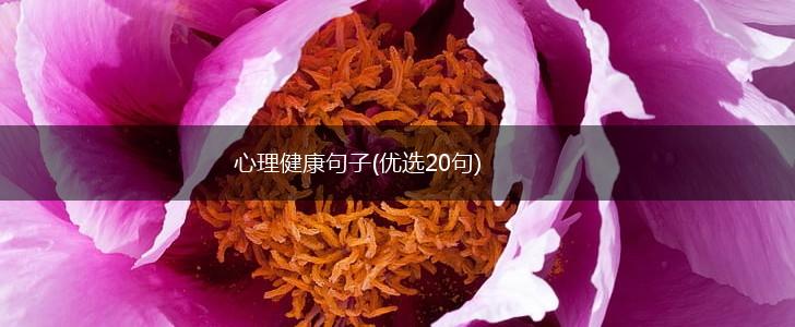 心理健康句子(优选20句),第1张