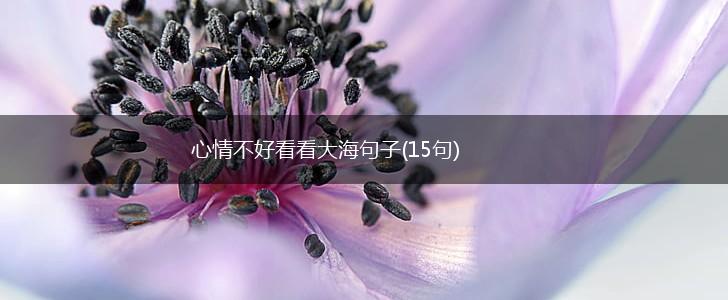 心情不好看看大海句子(15句),第1张