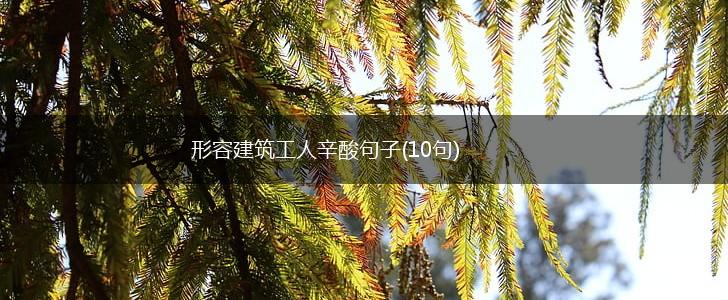 形容建筑工人辛酸句子(10句),第1张