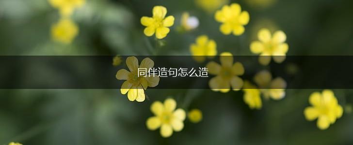 同伴造句怎么造,第1张 同伴造句怎么造,第1张