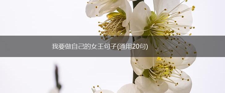 我要做自己的女王句子(通用20句),第1张