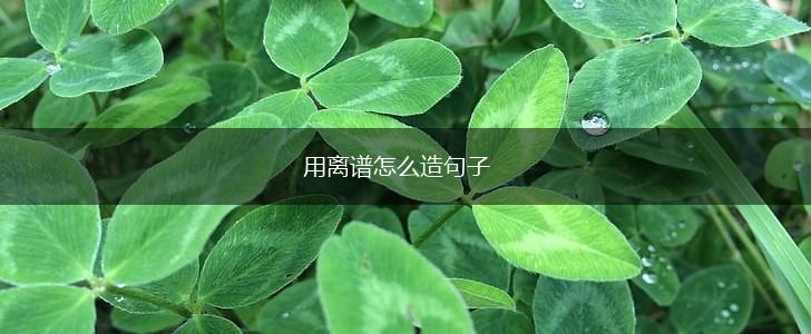 用离谱怎么造句子,第1张 用离谱怎么造句子,第1张