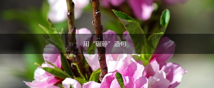用“碾碎”造句,第1张 用“碾碎”造句,第1张