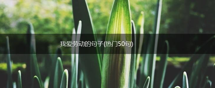 我爱劳动的句子(热门50句),第1张