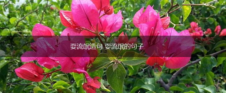 耍流氓造句 耍流氓的句子,第1张 耍流氓造句 耍流氓的句子,第1张