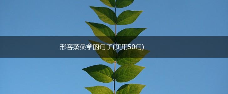 形容蒸桑拿的句子(实用50句),第1张