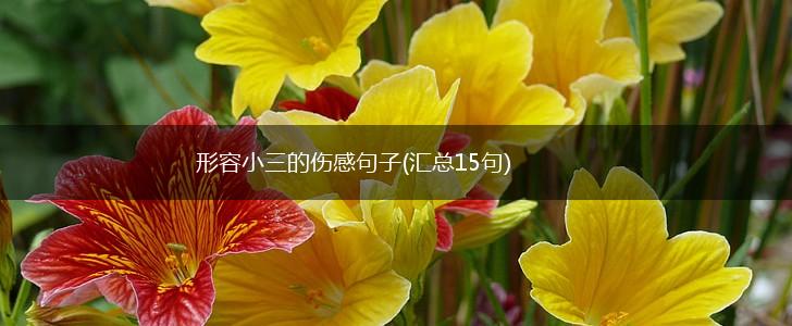 形容小三的伤感句子(汇总15句),第1张