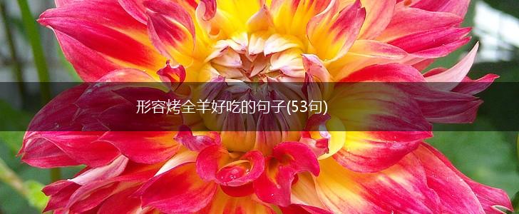 形容烤全羊好吃的句子(53句),第1张