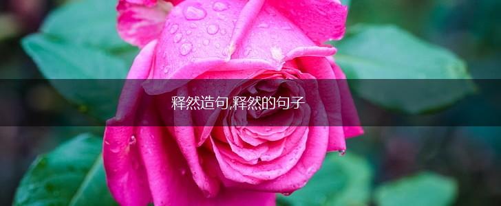 释然造句,释然的句子,第1张