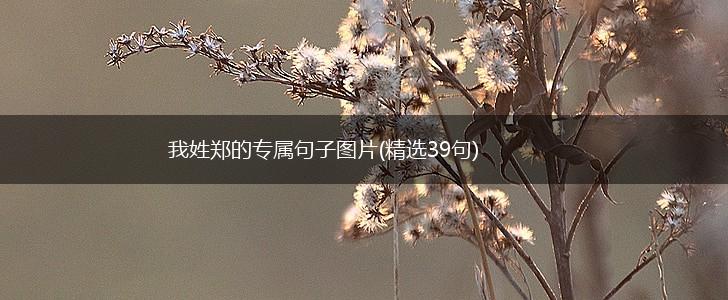我姓郑的专属句子图片(精选39句),第1张