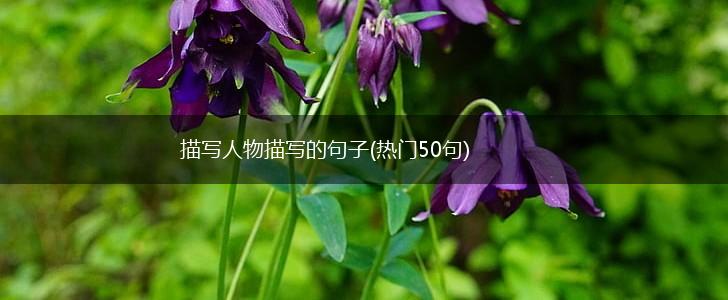 描写人物描写的句子(热门50句),第1张