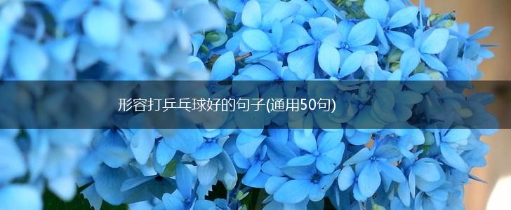 形容打乒乓球好的句子(通用50句),第1张